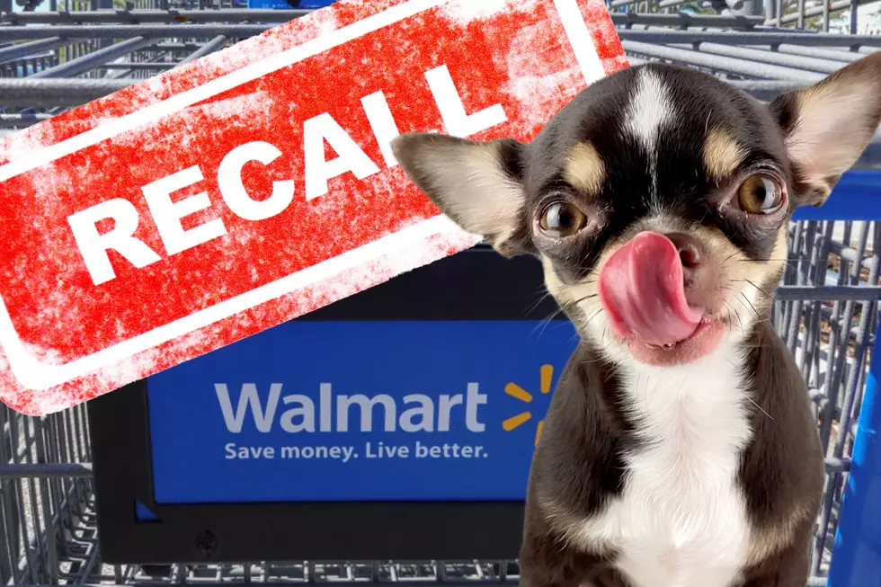 AR, TX, LA, OK Walmart Recalling Dog Food – Potential Metal Pieces