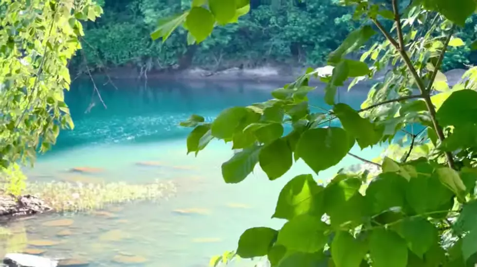 Cool Off in the Best Swimming Hole in Arkansas