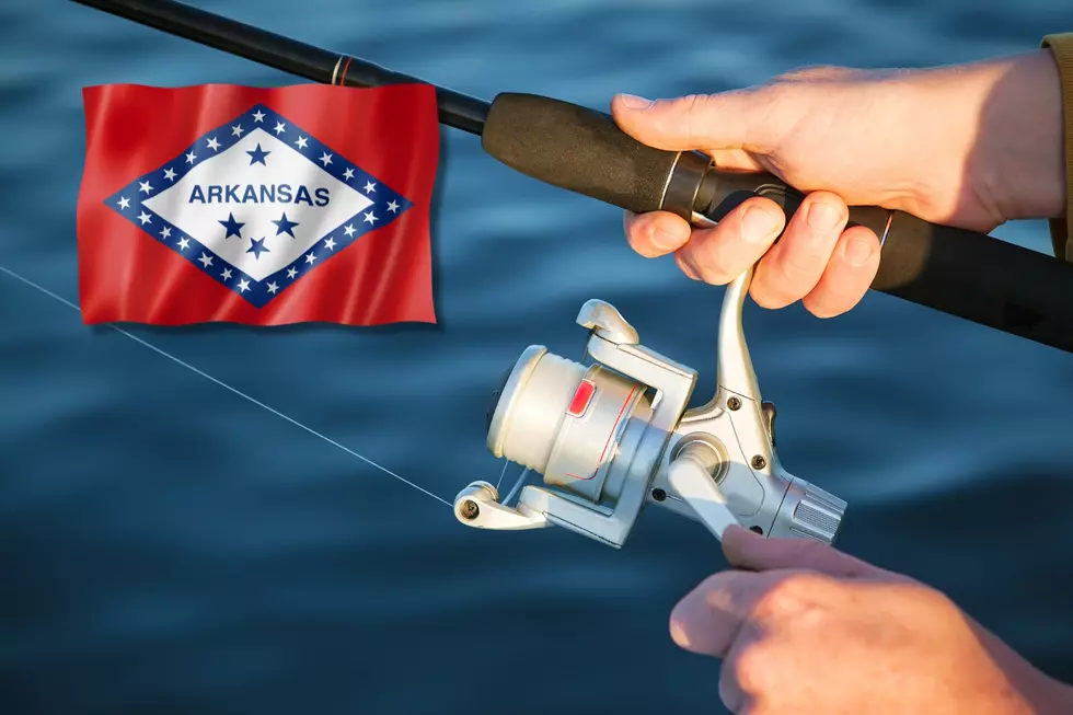New Arkansas State Record Massive 127 lbs. Paddlefish Caught
