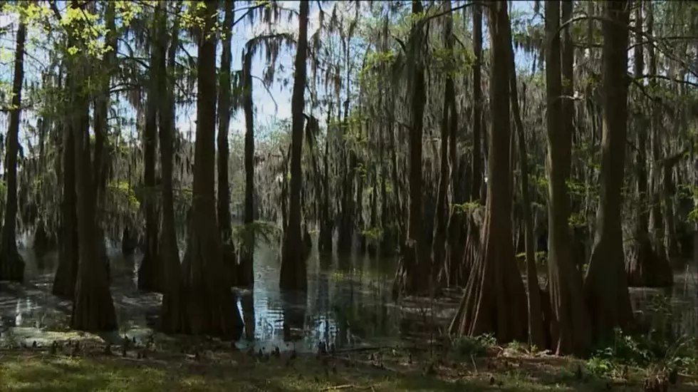Arkansas PBS, YouTube