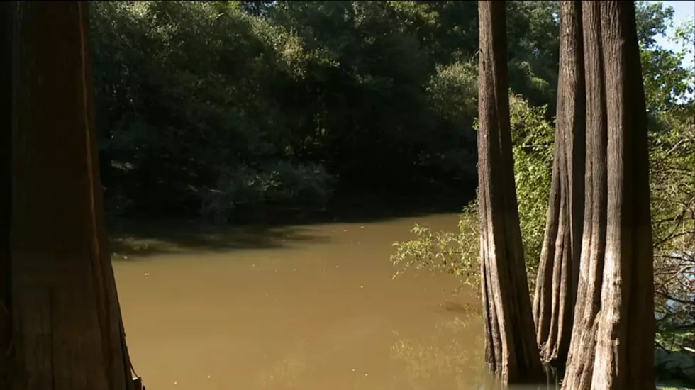 Arkansas PBS, YouTube