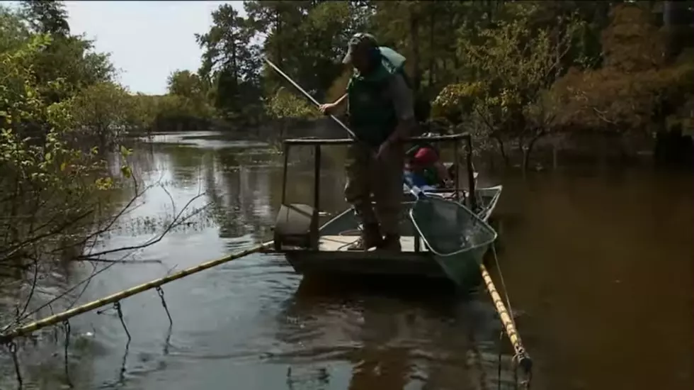 Arkansas PBS, YouTube
