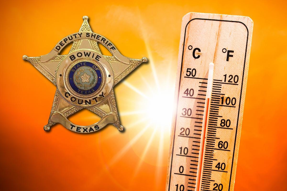 87 Arrested in Bowie County Last Week - Sheriff's Report for 7/17