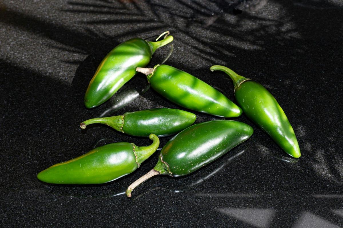 Jalapeño Pepper Recall: Salmonella Outbreak Hits TX and AR