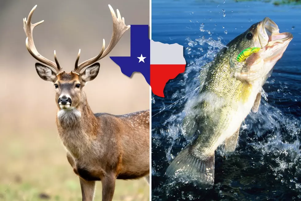 Texas Hunting and Fishing Licenses Go on Sale Saturday, Aug. 15