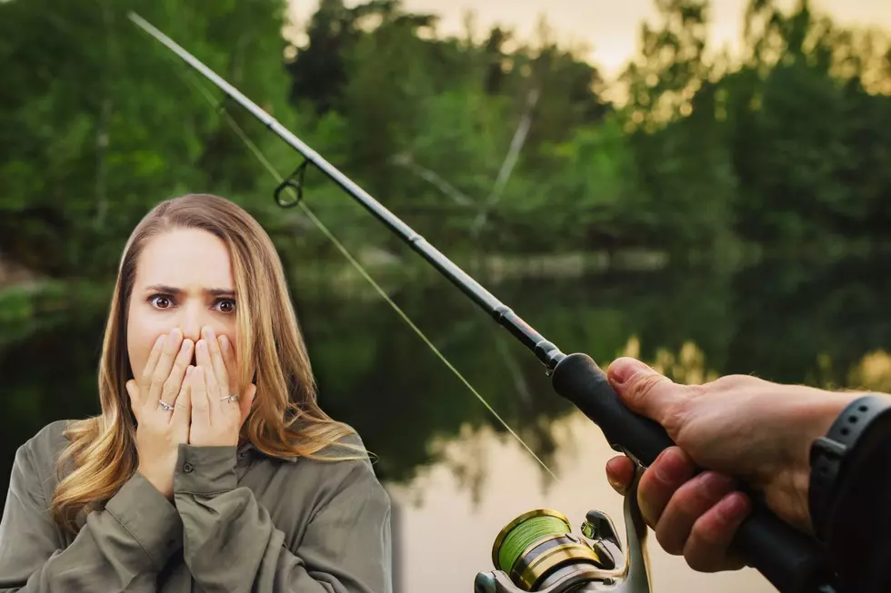 Here's How Cut Fishing Lines Endanger Texas Wildlife
