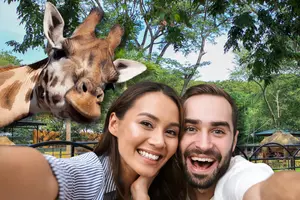 Zoo Brew 2026: Little Rock Zoo&CloseCurlyQuote;s Popular Event Returns