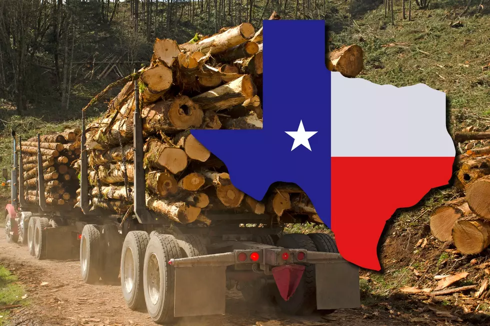 New Diesel Rules Could Help East Texas Farmers, Loggers