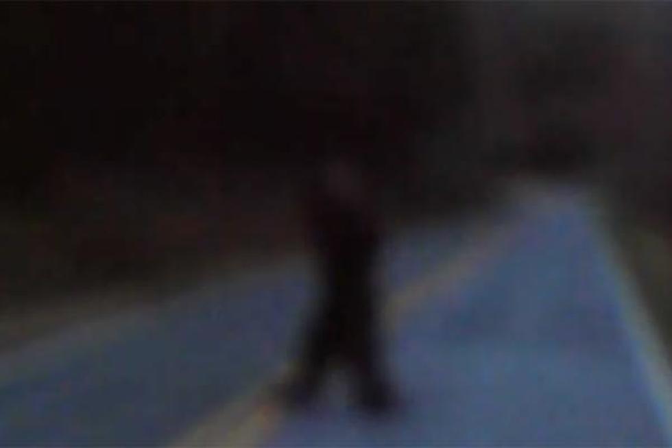 Why Does The Bigfoot Cross The Road? [VIDEO]