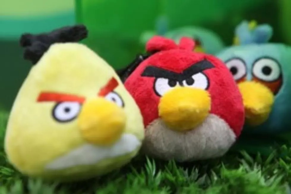 Angry Birds to Become Playground!