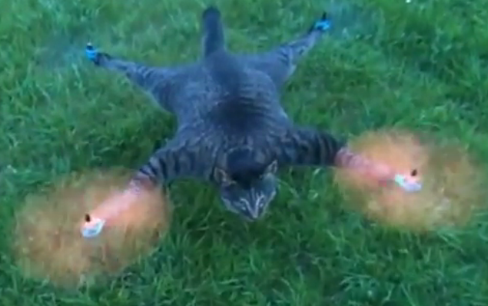 Creepy Artist Turns Dead Cat Into Working Helicopter [VIDEO]