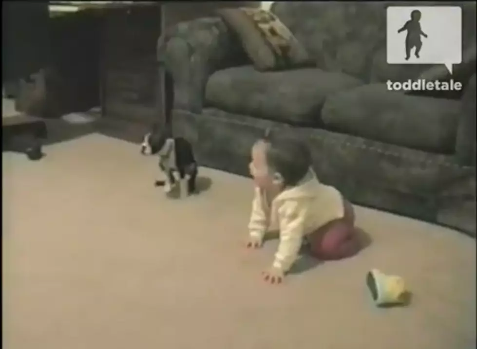 Baby Takes First Steps Right Into Dog Poop [VIDEO]