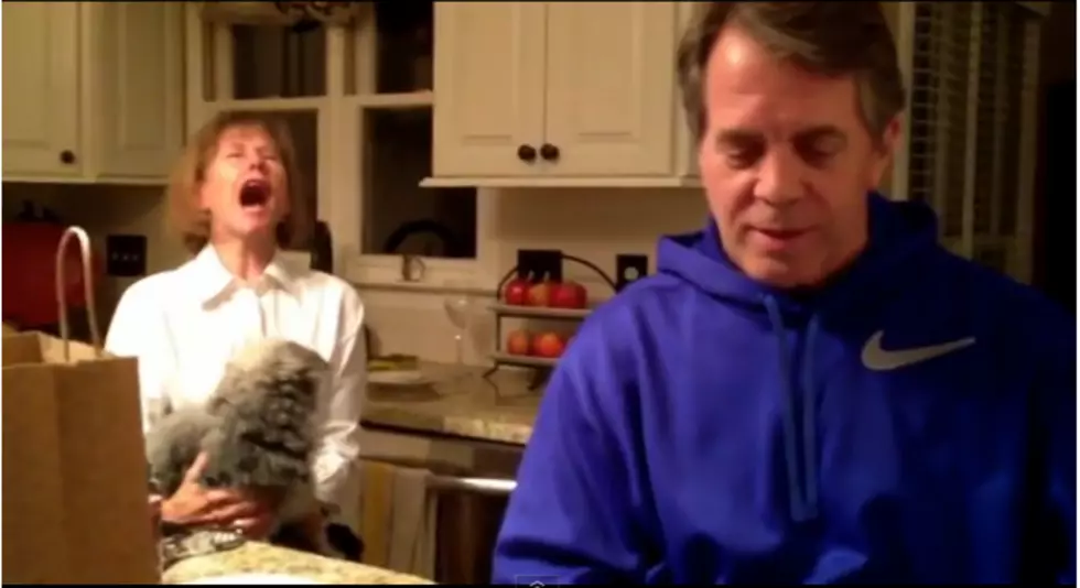 Couple Tells In-laws ‘We’re Pregnant’ – Hilarity Ensues [VIDEO]