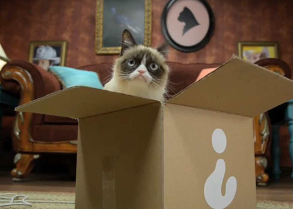 Watch the Grumpy Cat Friskies Commercials [VIDEO]