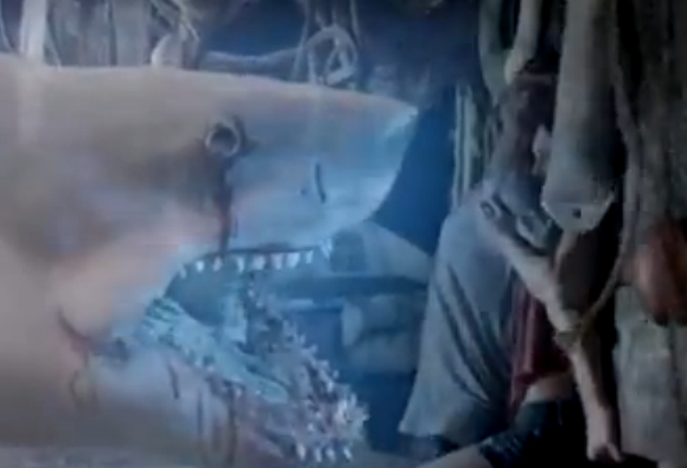 Get Ready for the Syfy Hit ‘Ghost Shark’ [VIDEO]