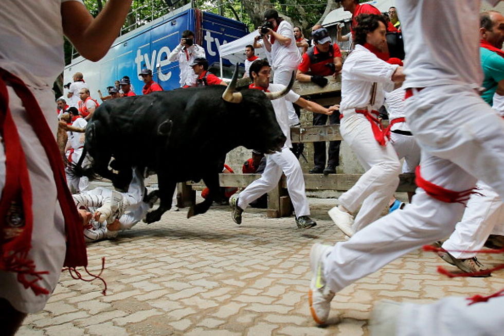 Running of the Bulls is Coming to the United States! [VIDEO]