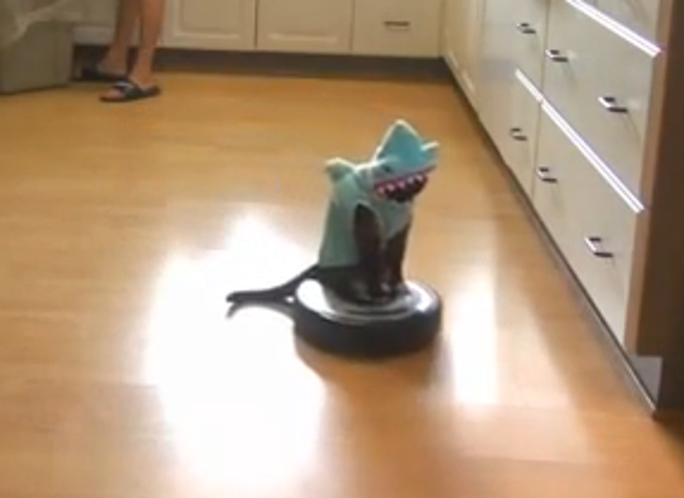Cat on a Roomba Returns for Shark Week [VIDEO]