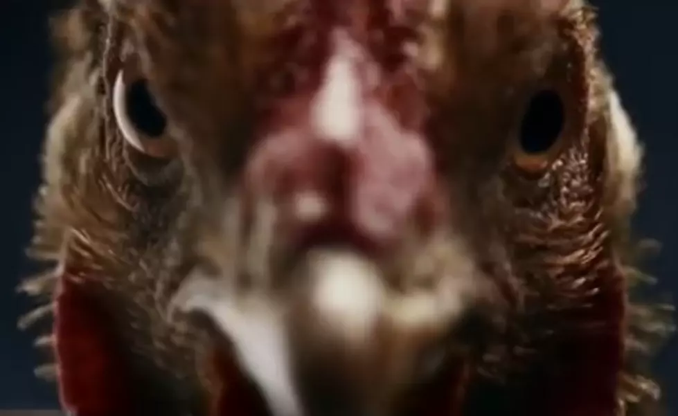 Mercedes Uses Chickens in Hilarious New Ad [VIDEO]
