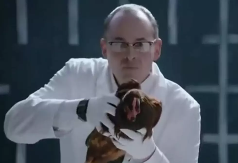 Jaguar vs. Chicken: Jaguar’s Response to Mercedes-Benz Chicken Ad [VIDEO]