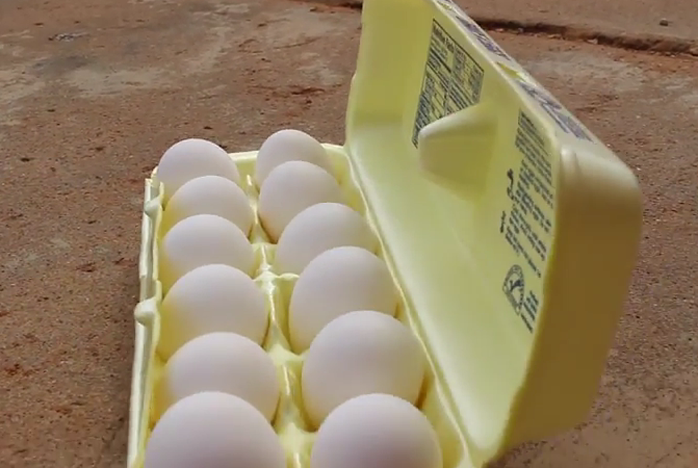 Something Unexpected Happens When We Throw Eggs Off the World’s Littlest Skyscraper [VIDEO]