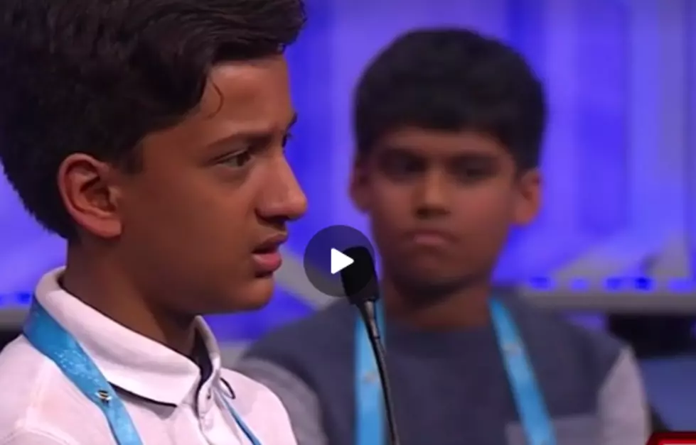 Spelling Bee Is Perfect Place for Ice Cold Taunting