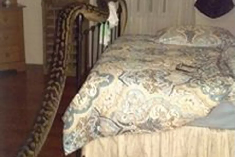 Monster 16-Foot-Long Snake Infiltrates Chill Woman&#8217;s Bedroom