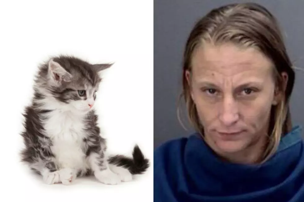 Wichita Falls Woman Arrested For Slamming Kitten onto Driveway