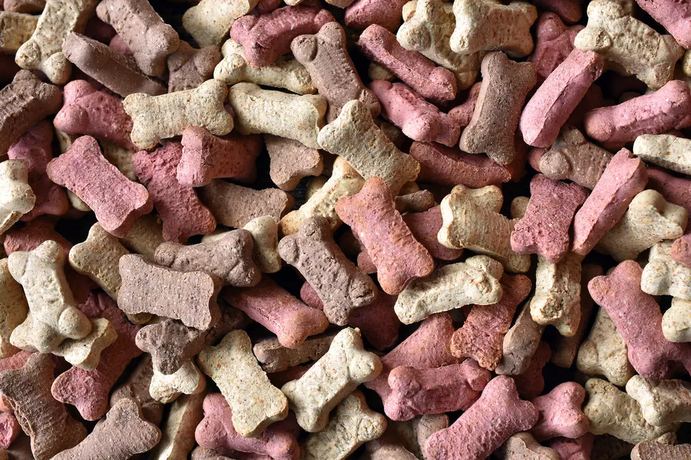 Smuggler Tries to Disguise Ammo as Dog Biscuits to Cross Border