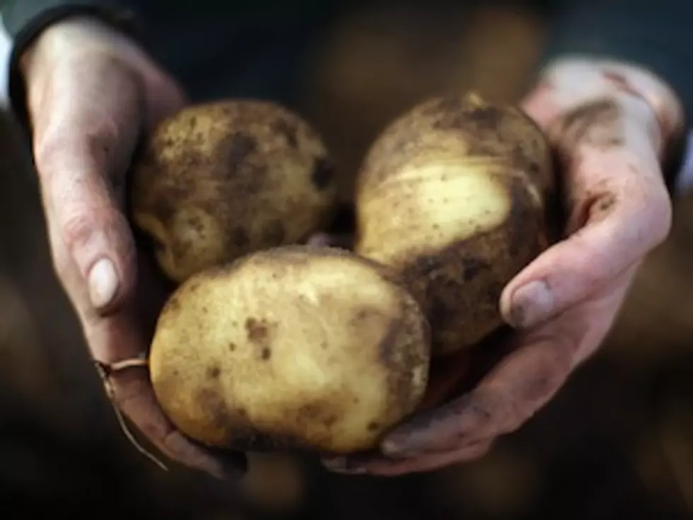Fake News on National Potato Day Y’all : POLL