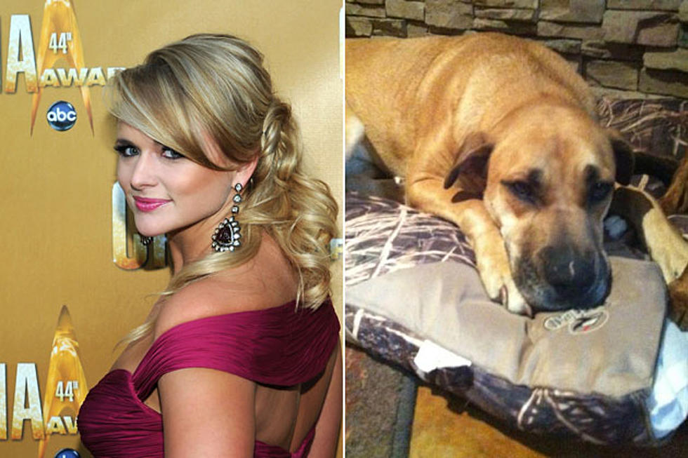 Miranda Lambert Grieves Over Missing Dog