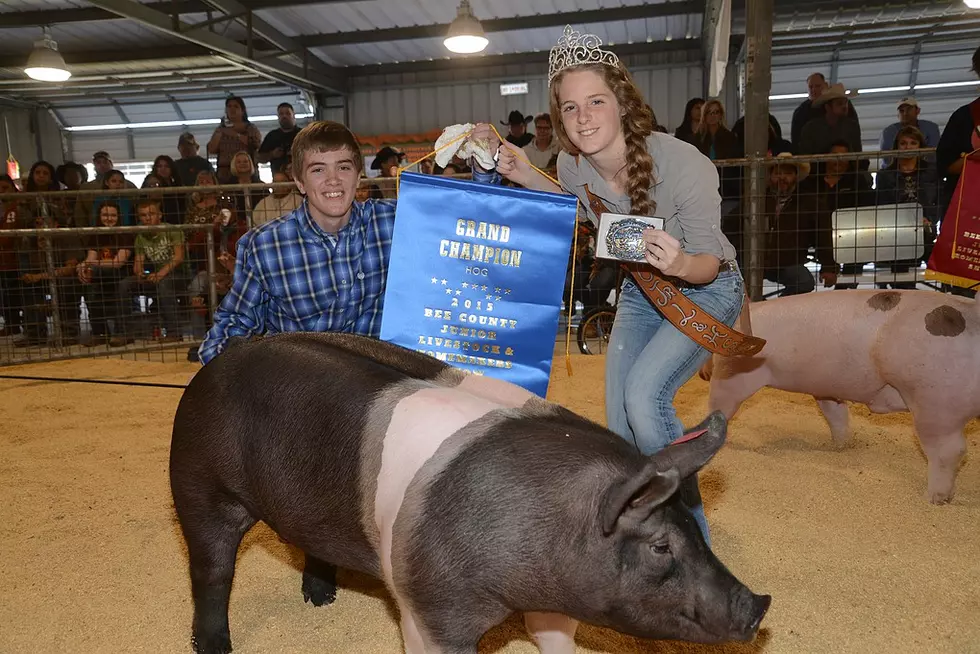 Bee County Junior Livestock and Homemakers Show