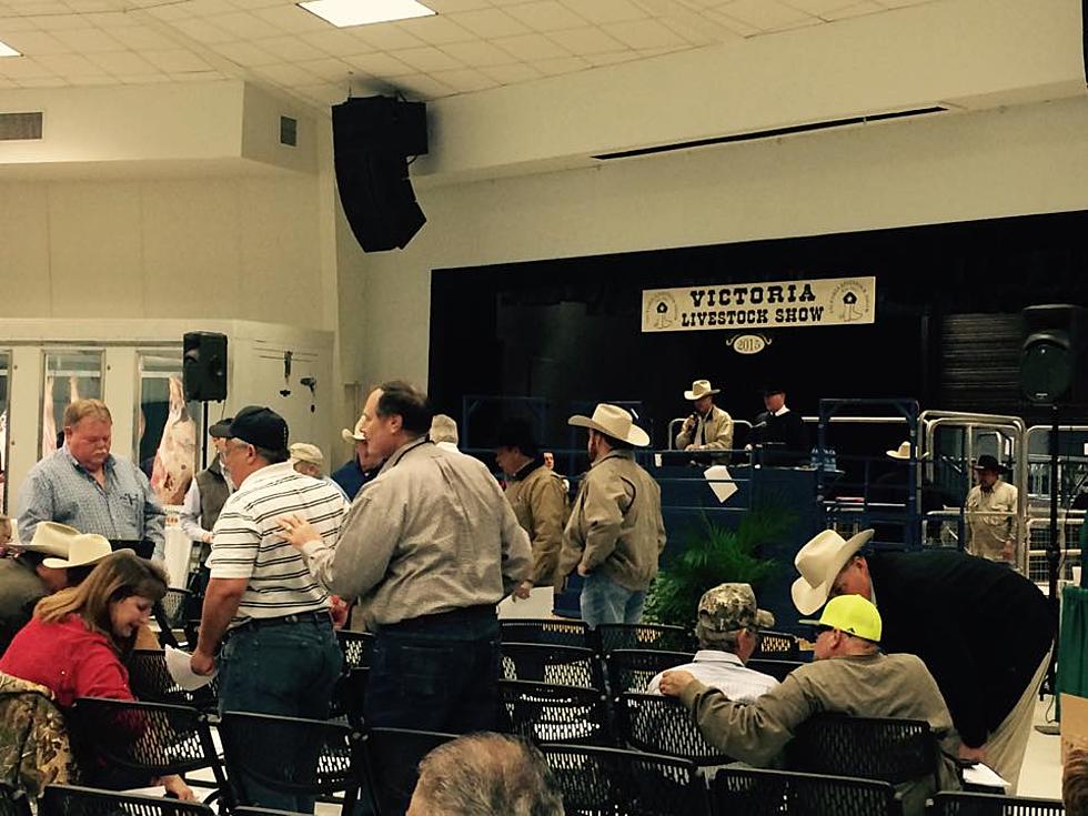 Livestock Show Ribbon Cutting Thursday