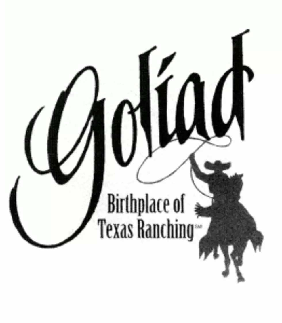 Goliad County Fair and PRCA Rodeo