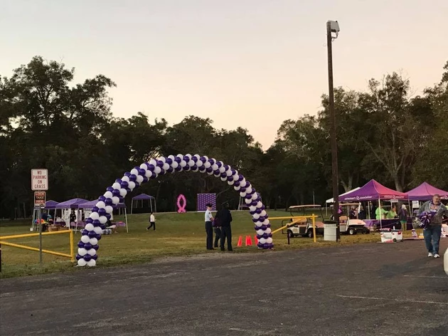 2017 Walk to End Alzheimer&#8217;s