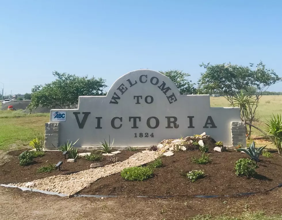 The City of Victoria Wants to Hear From You
