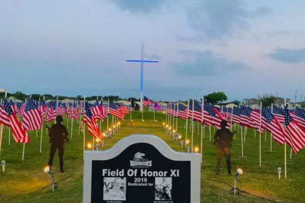 Warrior’s Weekend Field of Honor Flag Posting Event