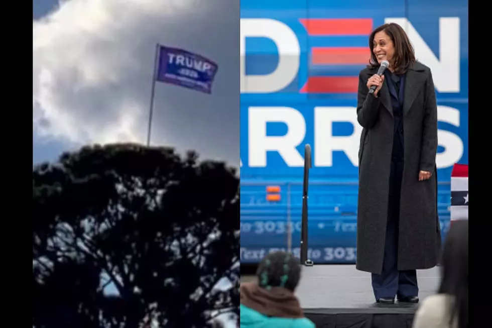 Trump Flags on Tree Tops, Kamala to Visit Texas