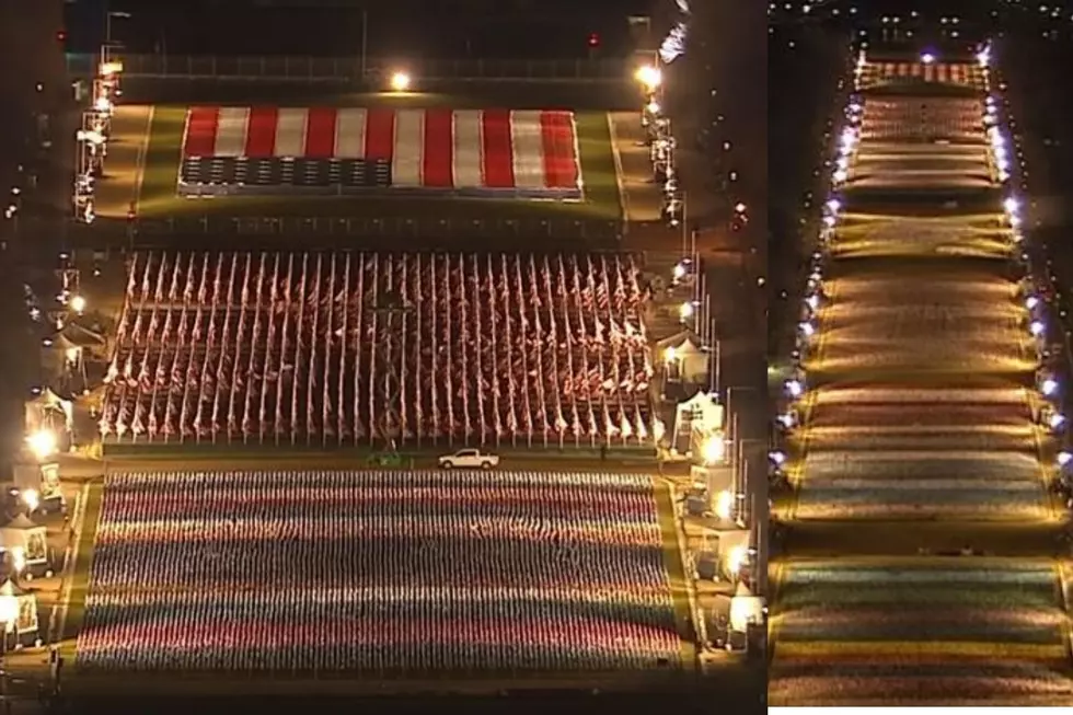 Inauguration Field of Flags