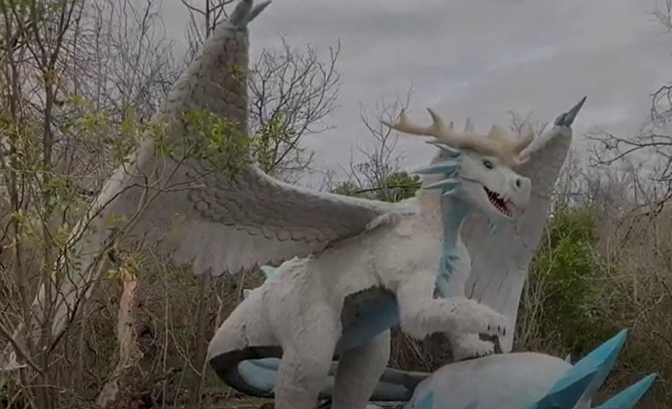 Dragons Spotted At The San Antonio Zoo