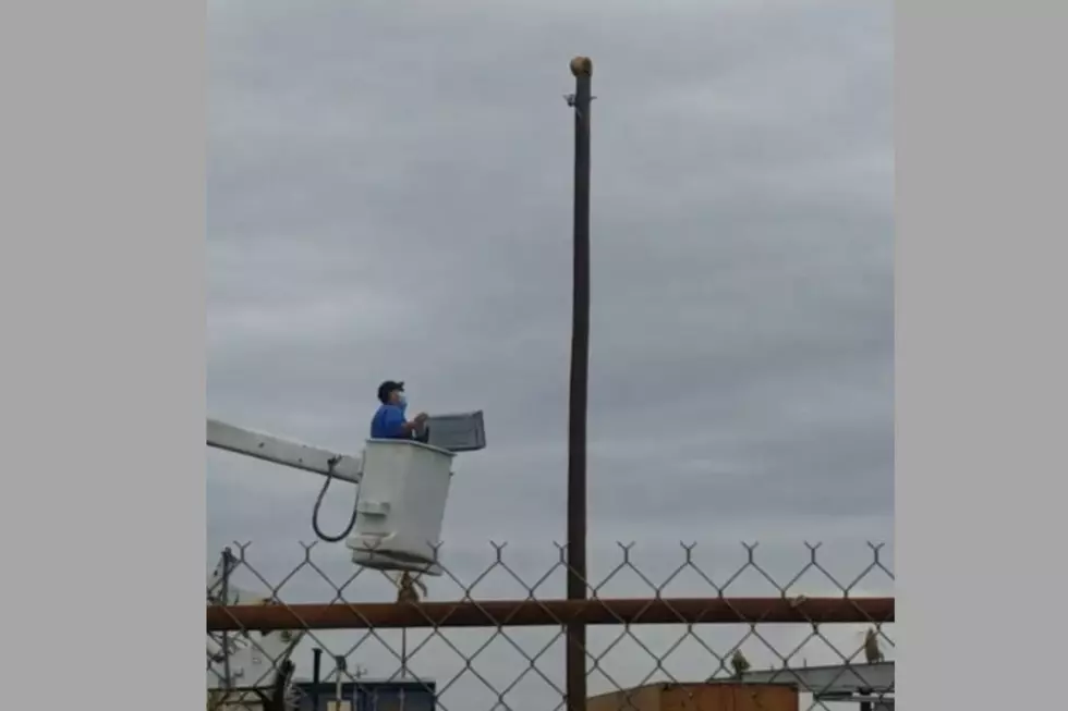 VIDEO: Cat Jumps Off Pole Just Before Being Rescued in Kingsville