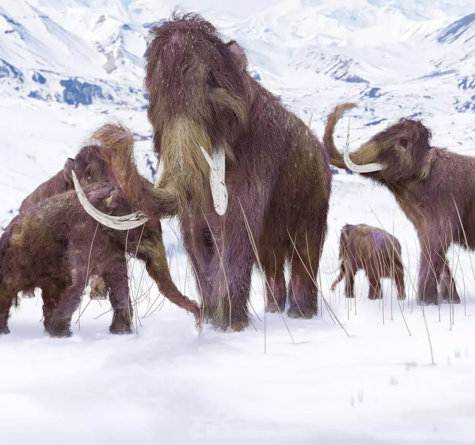 Mammoth Hunting in the Crossroads