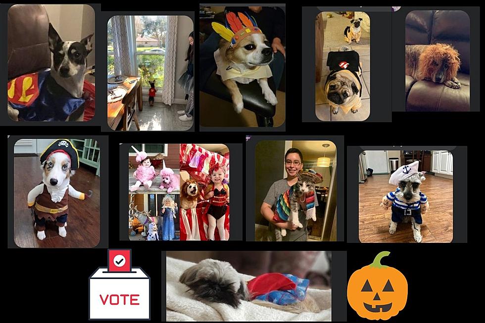 Be Inspired by the Crossroads Best Dressed Halloween Pets