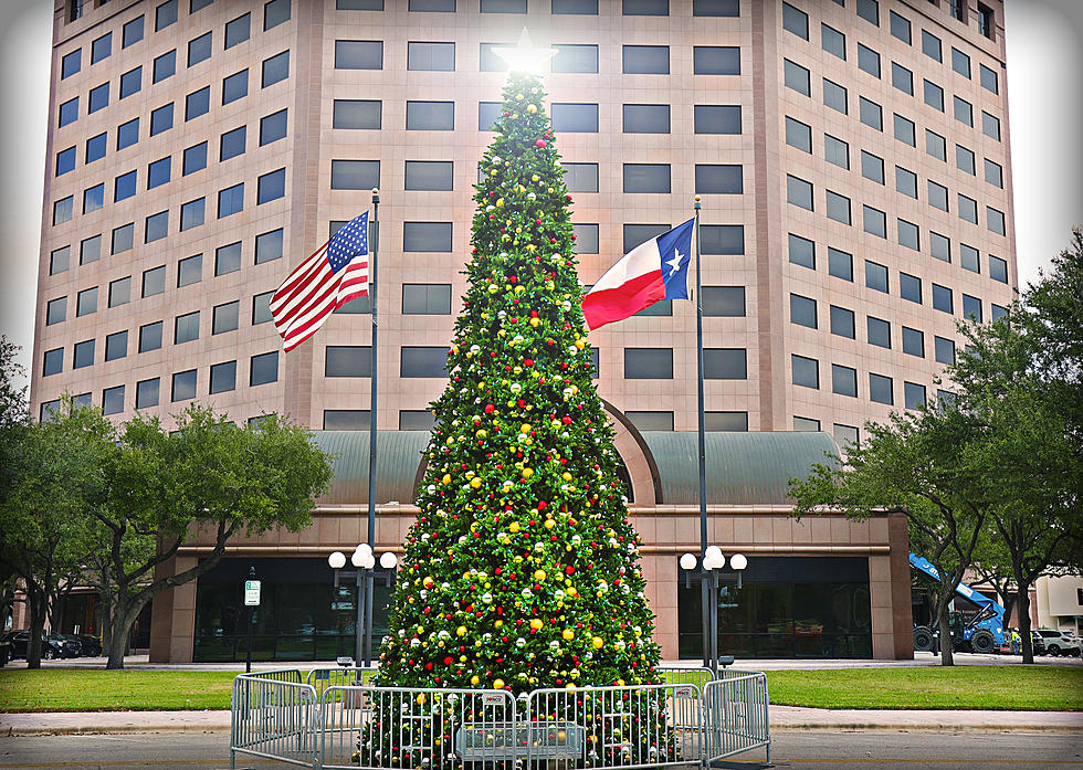 Downtown Victoria Being Transformed for Christmas Festivities