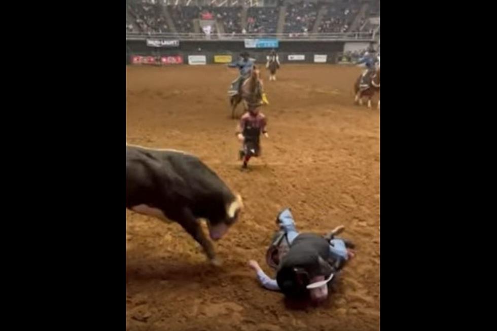 Watch: Heroic Moment Dad Uses His Body to Shield Son From Bull