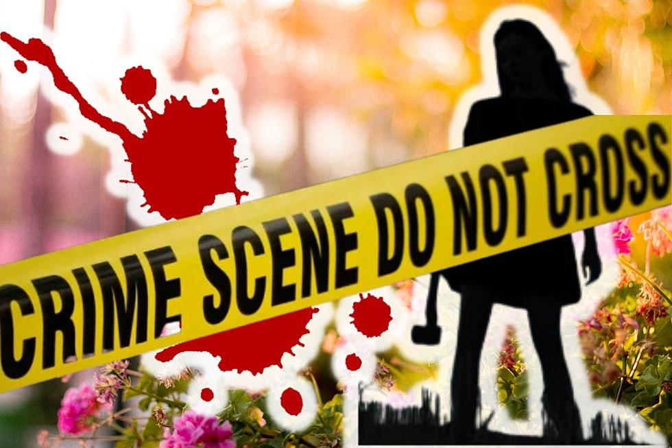 Murder Mystery at Theatre Victoria Needs Community Help to Solve
