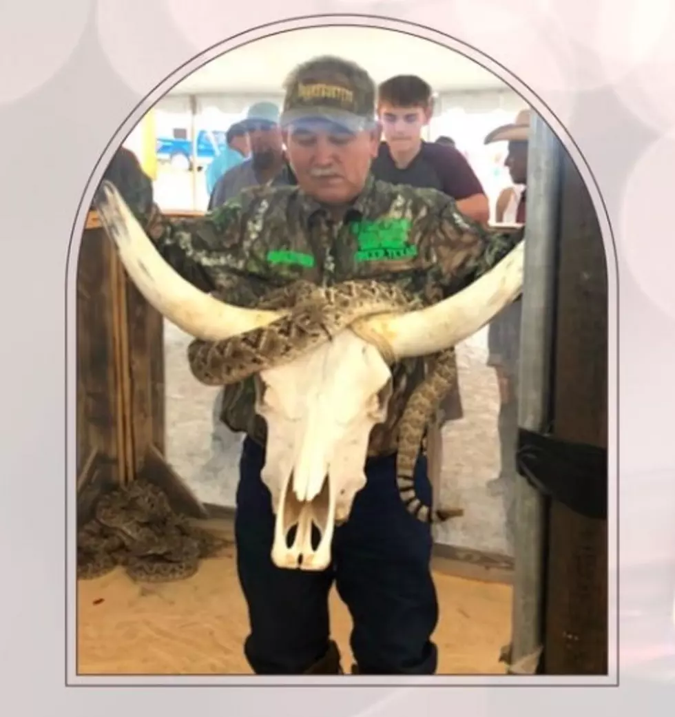  Snake Handler Sadly Bit and Killed at Freer TX Snake Festival