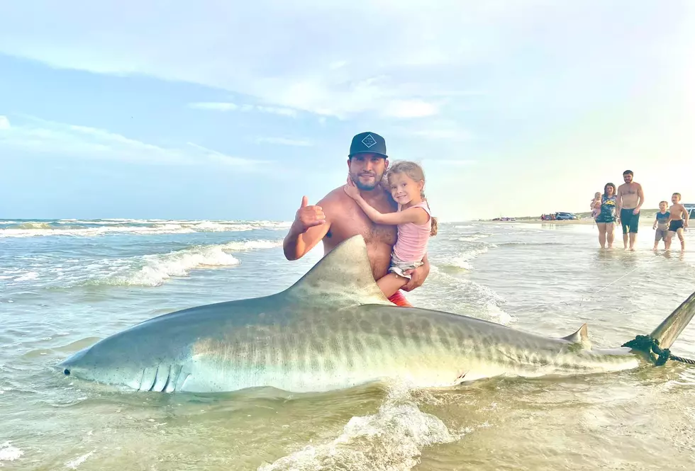 Texas man snags bucket list 12-foot tiger shark off Padre Island