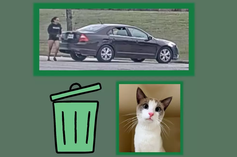 Unidentified TX Woman Caught On Camera Dumping Sweet Cat in Trash