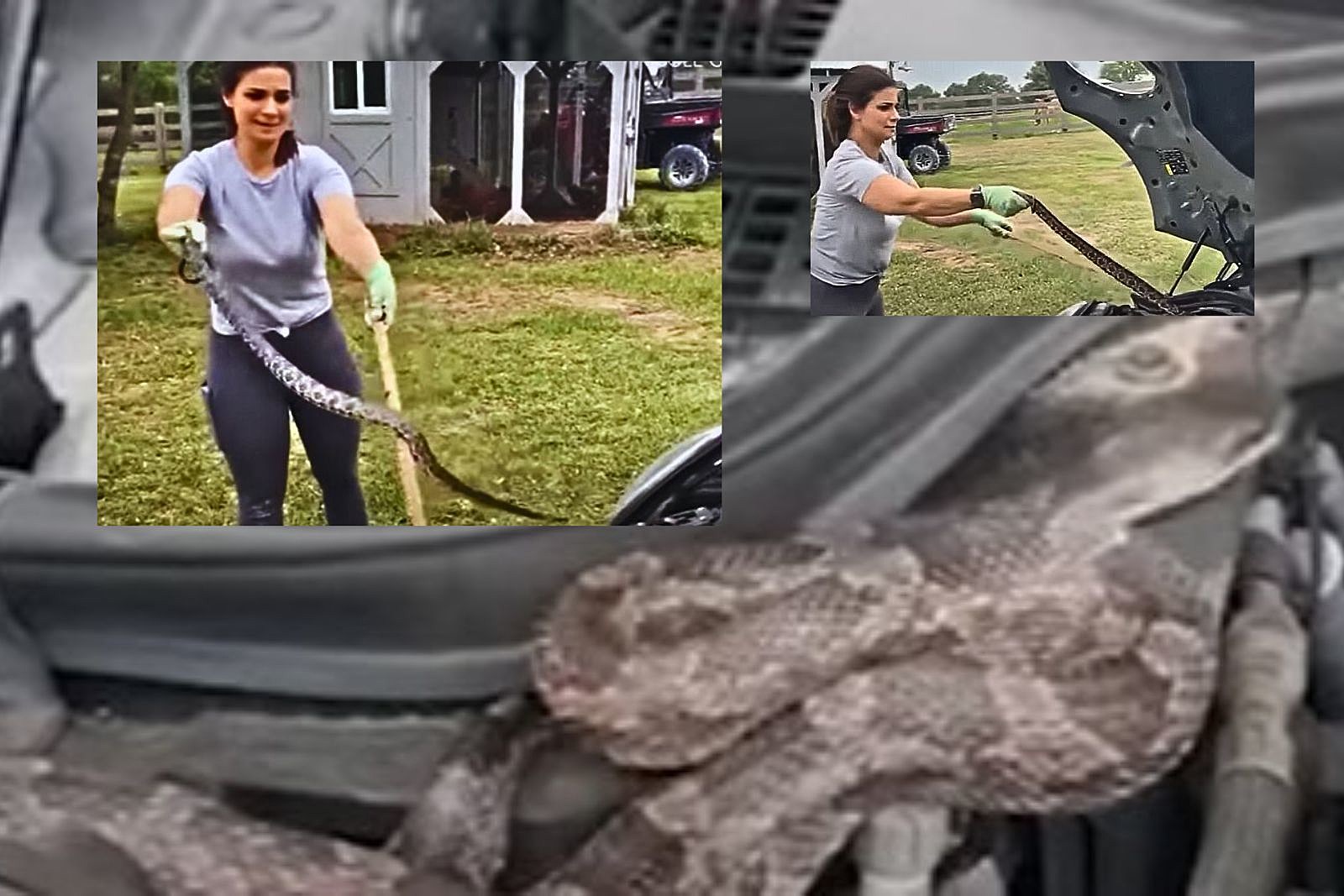 Oh Hell No Check Out This Texas Woman Rescuing Snake from Car