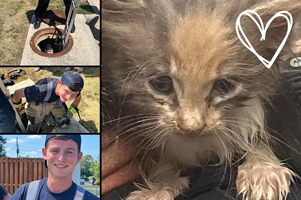 Texas Firefighters Go Below And Beyond to Rescue A Sweet Kitten 